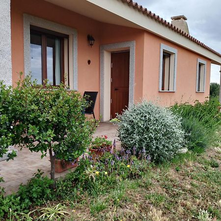 Agriturismo Gli Olivastri Appartamento Corbezzolo Con Piscina E Vista Mare,Climatizzatore,Wifi Aglientu Exterior photo